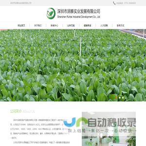 深圳市润泰实业发展有限公司